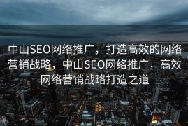 中山SEO网络推广，打造高效的网络营销战略，中山SEO网络推广，高效网络营销战略打造之道