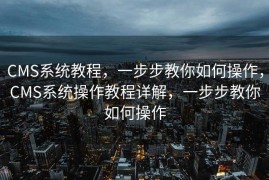 CMS系统教程，一步步教你如何操作，CMS系统操作教程详解，一步步教你如何操作