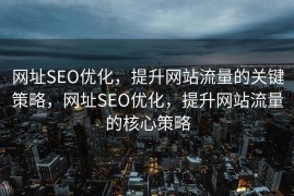 网址SEO优化，提升网站流量的关键策略，网址SEO优化，提升网站流量的核心策略