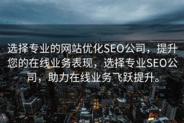 选择专业的网站优化SEO公司，提升您的在线业务表现，选择专业SEO公司，助力在线业务飞跃提升。