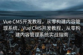Vue CMS开发教程，从零构建内容管理系统，Vue CMS开发教程，从零构建内容管理系统实战指南