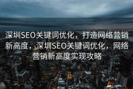 深圳SEO关键词优化，打造网络营销新高度，深圳SEO关键词优化，网络营销新高度实现攻略