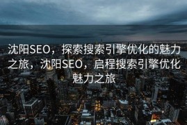 沈阳SEO，探索搜索引擎优化的魅力之旅，沈阳SEO，启程搜索引擎优化魅力之旅