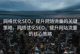 网络优化SEO，提升网站流量的关键策略，网络优化SEO，提升网站流量的核心策略