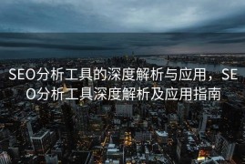 SEO分析工具的深度解析与应用，SEO分析工具深度解析及应用指南