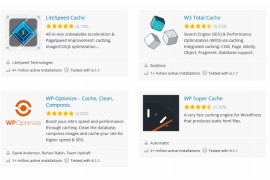 优化您的 WordPress 网站：十大终极技巧