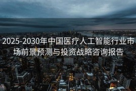 2025-2030年中国医疗人工智能行业市场前景预测与投资战略咨询报告