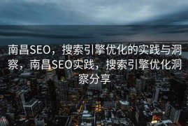 南昌SEO，搜索引擎优化的实践与洞察，南昌SEO实践，搜索引擎优化洞察分享