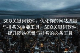 SEO关键词软件，优化你的网站流量与排名的重要工具，SEO关键词软件，提升网站流量与排名的必备工具
