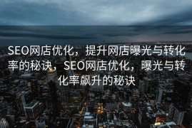 SEO网店优化，提升网店曝光与转化率的秘诀，SEO网店优化，曝光与转化率飙升的秘诀