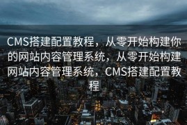SEO渠道，探索与挖掘数字营销的潜力之源，探索数字营销潜力之源，SEO渠道深度挖掘与探索