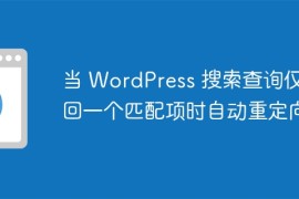 当 WordPress 搜索查询仅返回一个匹配项时自动重定向