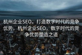 杭州企业SEO，打造数字时代的竞争优势，杭州企业SEO，数字时代的竞争优势塑造之道