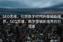 SEO思维，引领数字时代的营销新境界，SEO思维，数字营销新境界的引领者