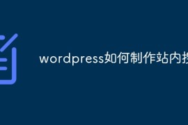 wordpress如何制作站内搜索