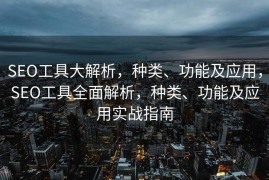 SEO工具大解析，种类、功能及应用，SEO工具全面解析，种类、功能及应用实战指南