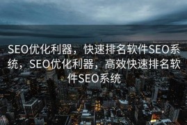SEO优化利器，快速排名软件SEO系统，SEO优化利器，高效快速排名软件SEO系统