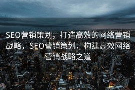 SEO营销策划，打造高效的网络营销战略，SEO营销策划，构建高效网络营销战略之道