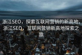浙江SEO，探索互联网营销的新高地，浙江SEO，互联网营销新高地探索之旅