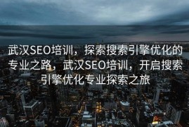 武汉SEO培训，探索搜索引擎优化的专业之路，武汉SEO培训，开启搜索引擎优化专业探索之旅