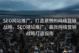 SEO网站推广，打造高效的网络营销战略，SEO网站推广，高效网络营销战略打造指南