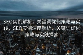 SEO实例解析，关键词优化策略与实践，SEO实例深度解析，关键词优化策略与实践探索