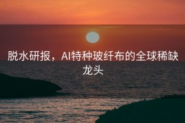 脱水研报，AI特种玻纤布的全球稀缺龙头