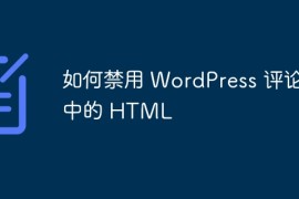如何禁用 WordPress 评论中的 HTML