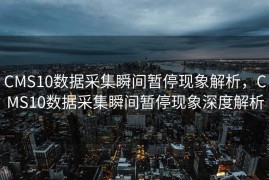 CMS10数据采集瞬间暂停现象解析，CMS10数据采集瞬间暂停现象深度解析