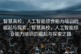 智慧高校，人工智能综合能力培训的崛起与探索，智慧高校，人工智能综合能力培训的崛起与探索之路