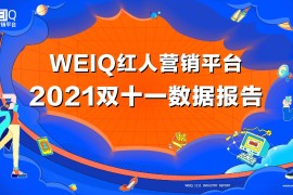 WEIQ：2021年双11红人营销报告-2025最新seo资料