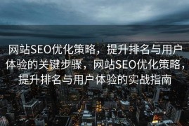 网站SEO优化策略，提升排名与用户体验的关键步骤，网站SEO优化策略，提升排名与用户体验的实战指南