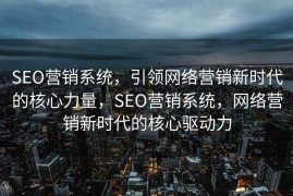 SEO营销系统，引领网络营销新时代的核心力量，SEO营销系统，网络营销新时代的核心驱动力