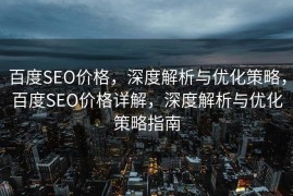百度SEO价格，深度解析与优化策略，百度SEO价格详解，深度解析与优化策略指南