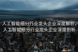 人工智能细分行业龙头企业深度解析，人工智能细分行业龙头企业深度剖析