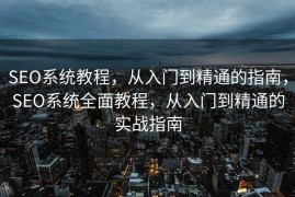 SEO系统教程，从入门到精通的指南，SEO系统全面教程，从入门到精通的实战指南