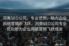 河南SEO公司，专业优化，助力企业网络营销新飞跃，河南SEO公司专业优化助力企业网络营销飞跃成长