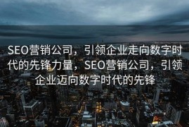 SEO营销公司，引领企业走向数字时代的先锋力量，SEO营销公司，引领企业迈向数字时代的先锋