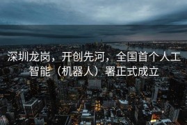 深圳龙岗，开创先河，全国首个人工智能（机器人）署正式成立