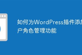 如何为WordPress插件添加用户角色管理功能