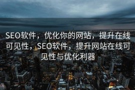 SEO软件，优化你的网站，提升在线可见性，SEO软件，提升网站在线可见性与优化利器