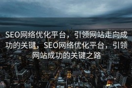 SEO网络优化平台，引领网站走向成功的关键，SEO网络优化平台，引领网站成功的关键之路
