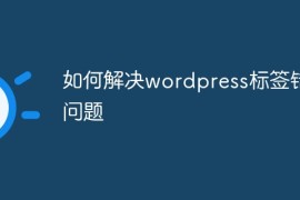 如何解决wordpress标签错误问题
