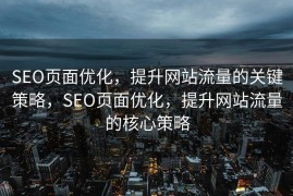 SEO页面优化，提升网站流量的关键策略，SEO页面优化，提升网站流量的核心策略