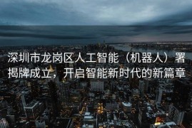 深圳市龙岗区人工智能（机器人）署揭牌成立，开启智能新时代的新篇章