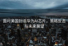 面对美国封杀华为AI芯片，策略反击与未来展望