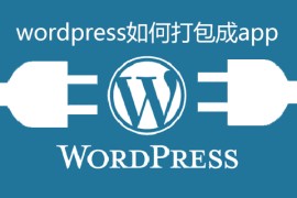 wordpress如何打包成app