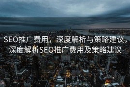 SEO推广费用，深度解析与策略建议，深度解析SEO推广费用及策略建议