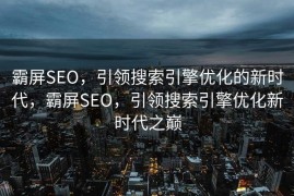 霸屏SEO，引领搜索引擎优化的新时代，霸屏SEO，引领搜索引擎优化新时代之巅
