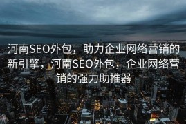 河南SEO外包，助力企业网络营销的新引擎，河南SEO外包，企业网络营销的强力助推器